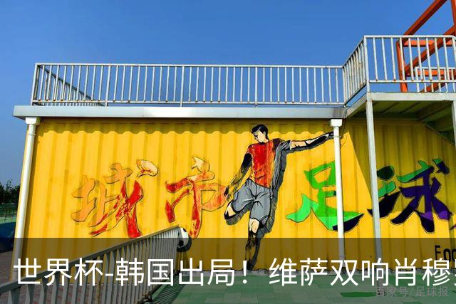 世界杯-韩国出局！维萨双响肖穆罗多夫神仙球 民主刚果3-1乌兹